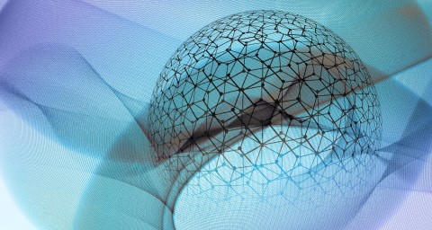 web image